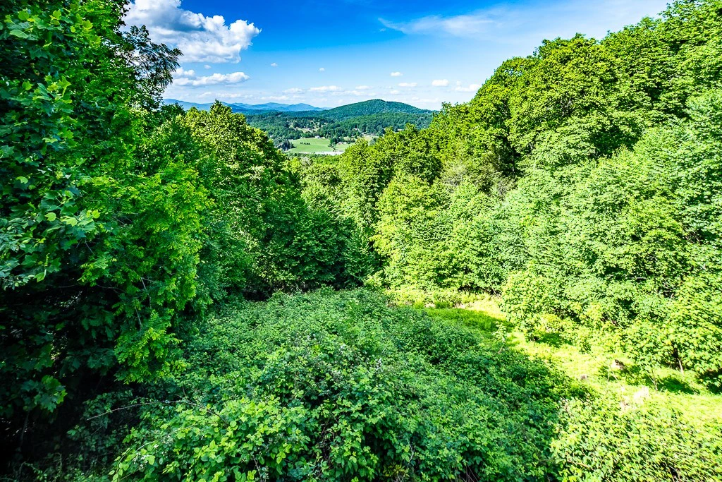 Image number 4 for the current listing