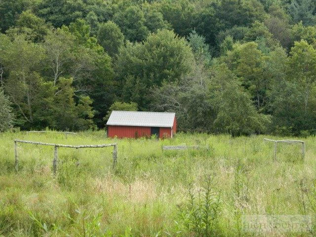 Image number 3 for the current listing