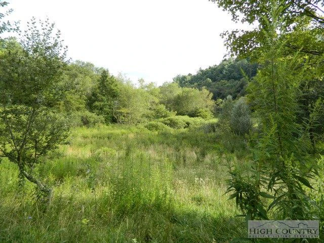 Image number 5 for the current listing
