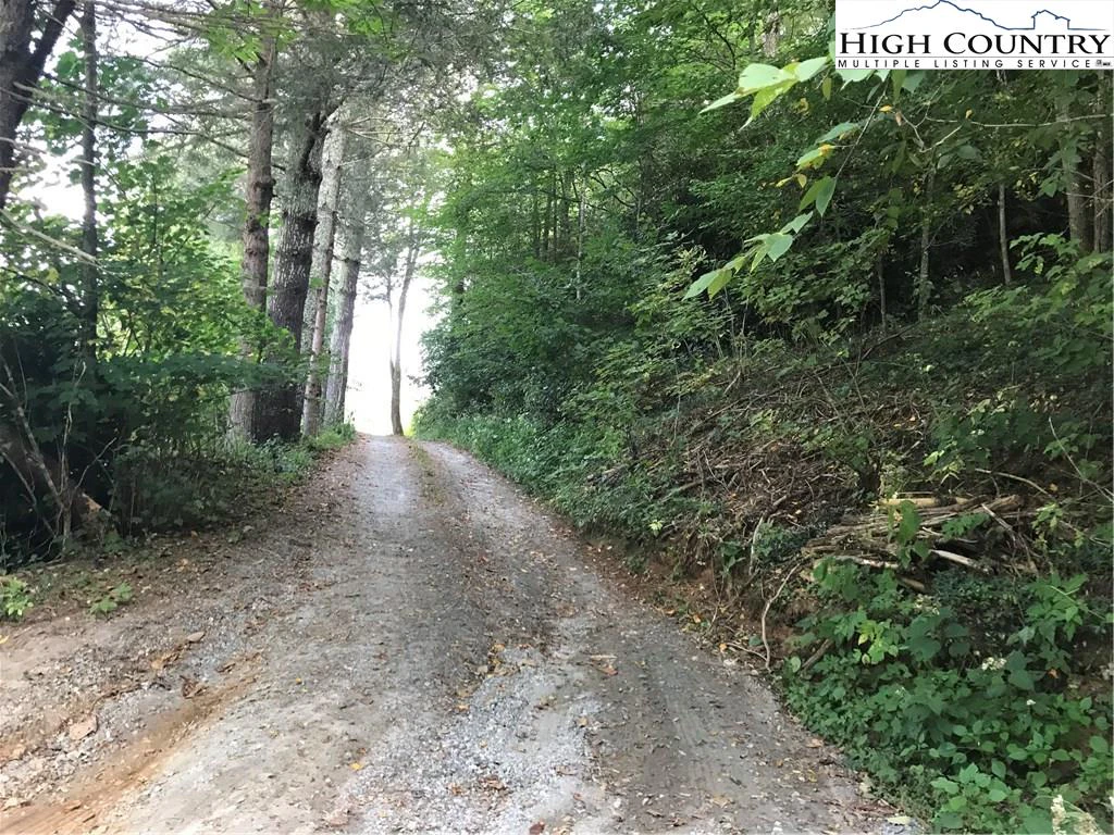 Image number 18 for the current listing