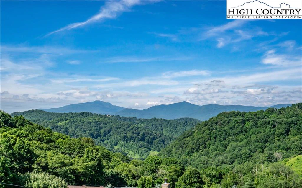 Image number 1 for the current listing