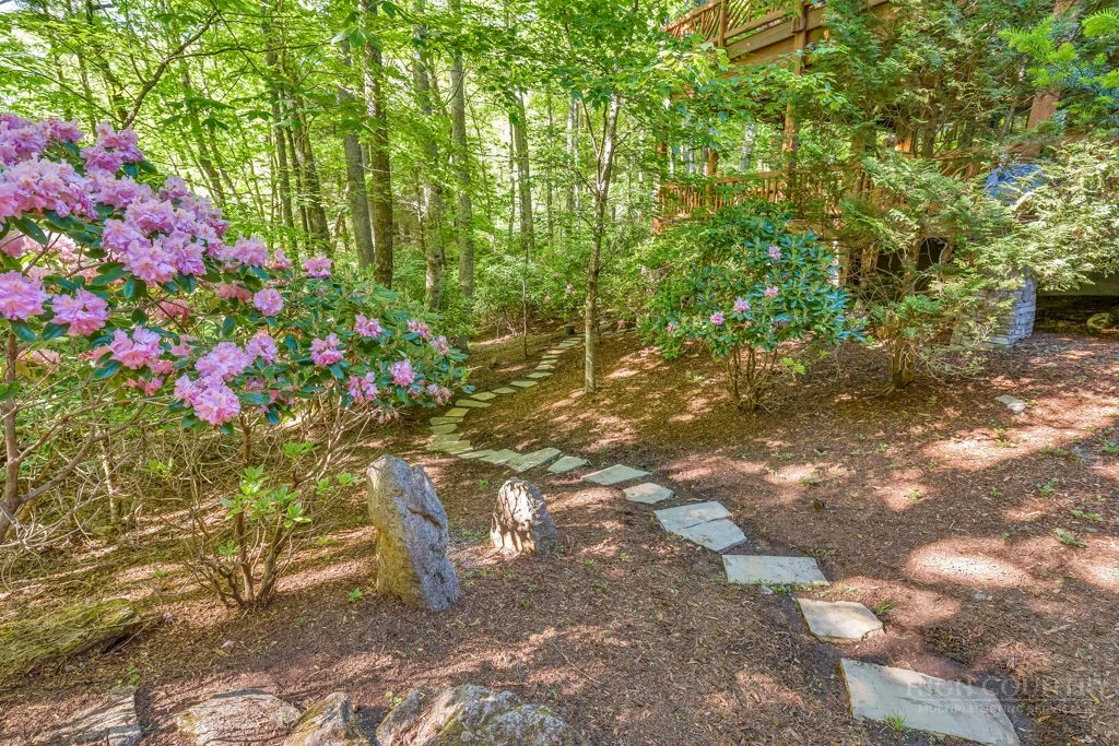 Image number 16 for the current listing