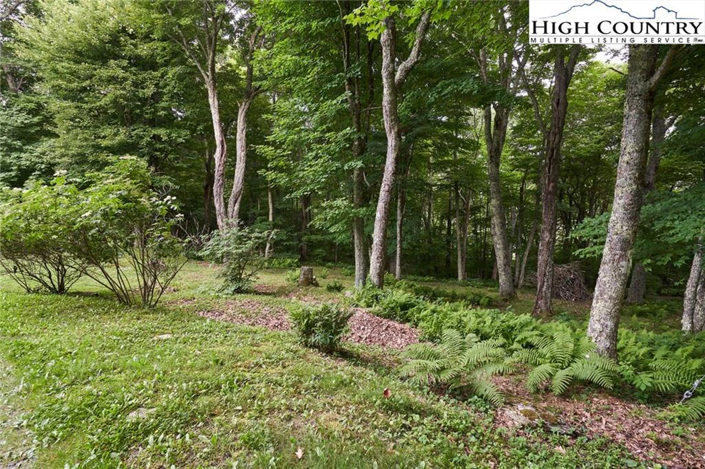 Image number 16 for the current listing