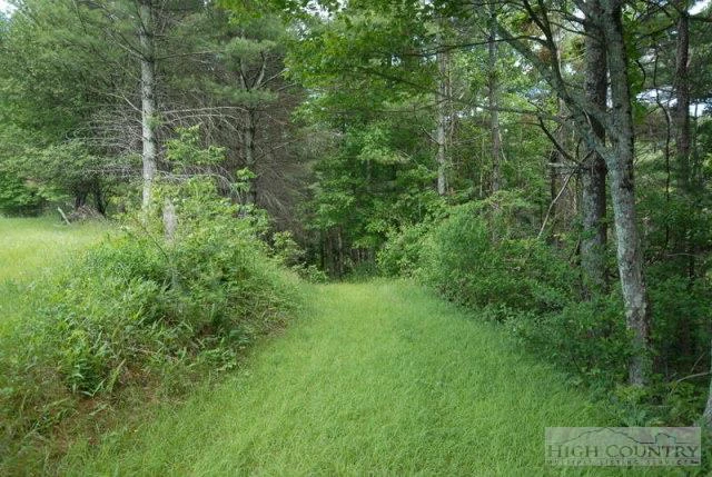 Image number 6 for the current listing