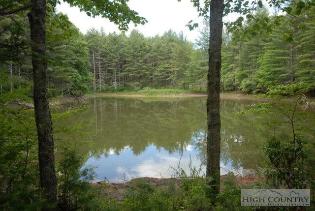 Image number 7 for the current listing