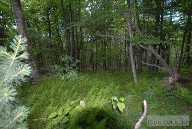 Image number 8 for the current listing