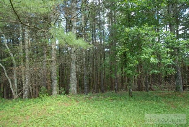 Image number 9 for the current listing