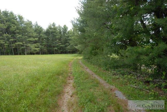 Image number 2 for the current listing