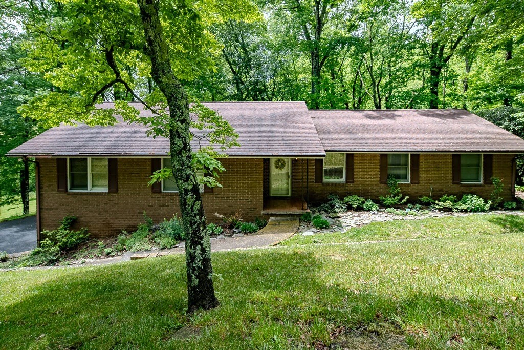Image number 1 for the current listing