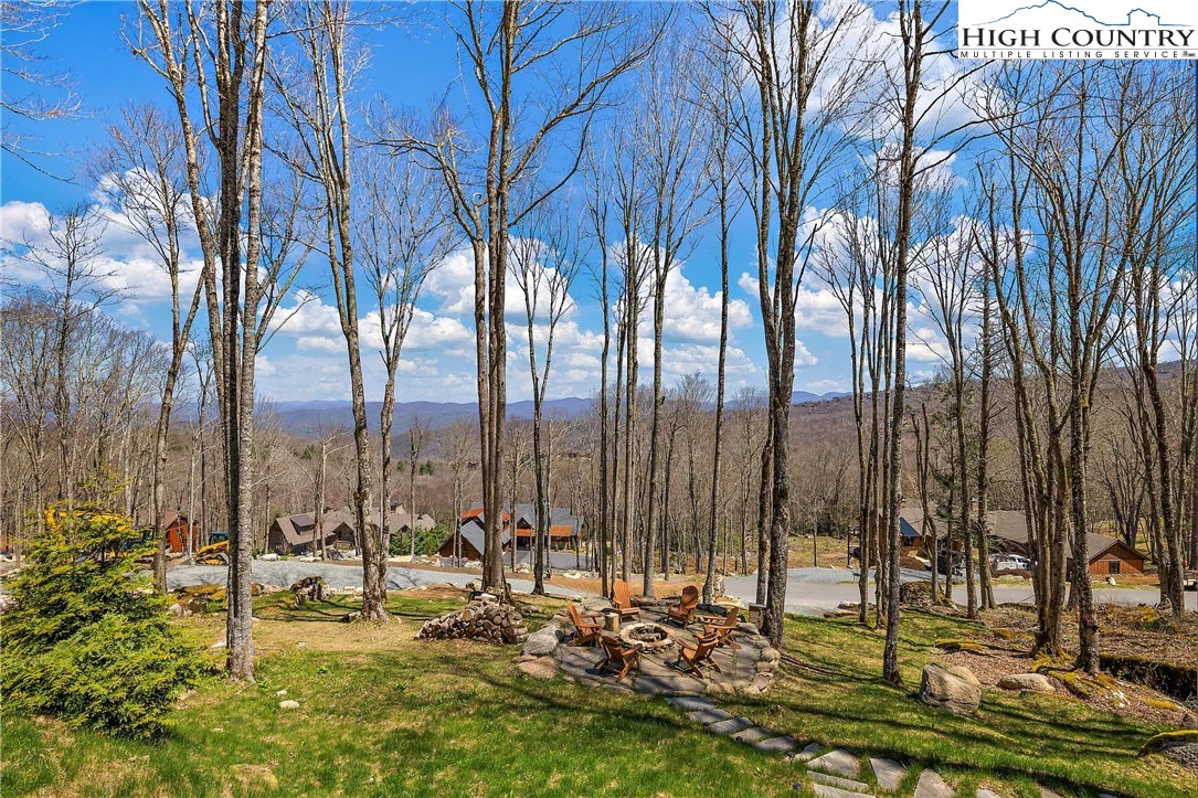 Image number 2 for the current listing