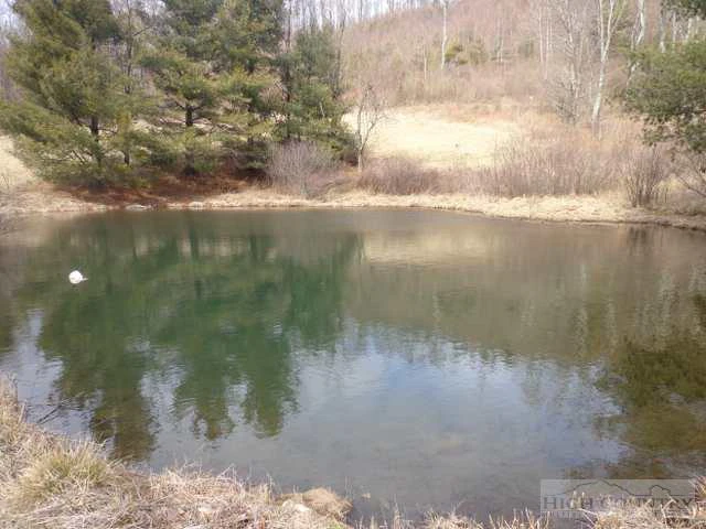 Image number 9 for the current listing