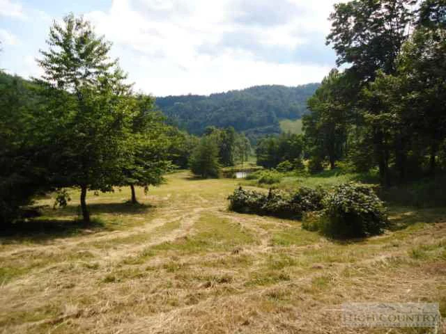 Image number 11 for the current listing