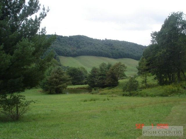 Image number 2 for the current listing