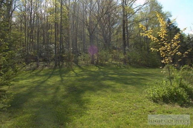 Image number 15 for the current listing