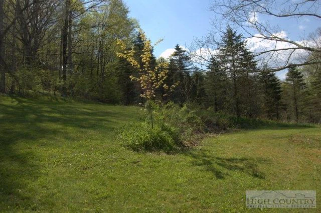 Image number 14 for the current listing