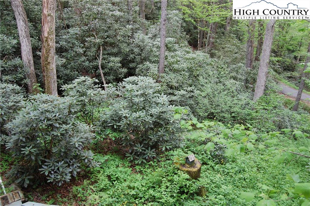 Image number 13 for the current listing