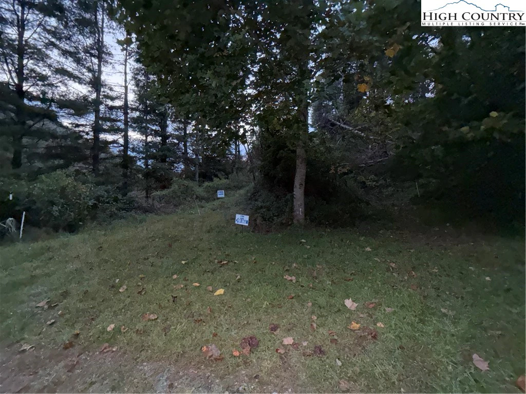Image number 17 for the current listing