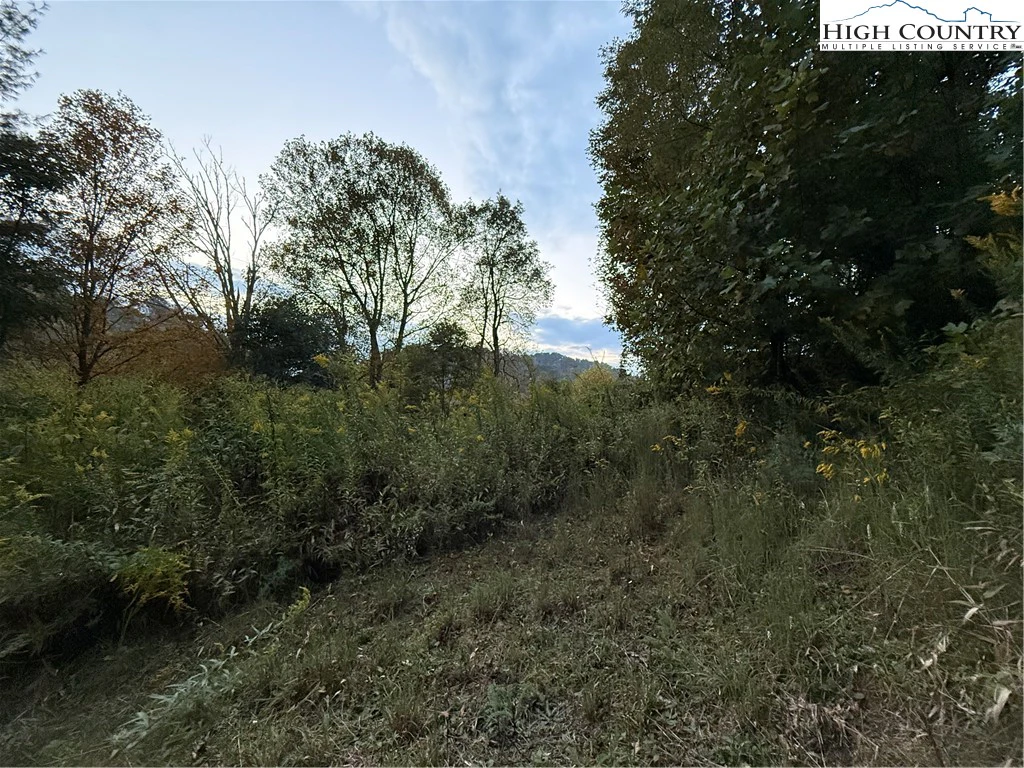 Image number 19 for the current listing
