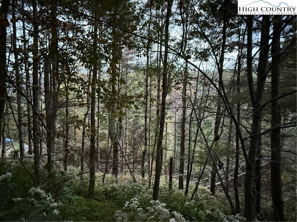 Image number 14 for the current listing