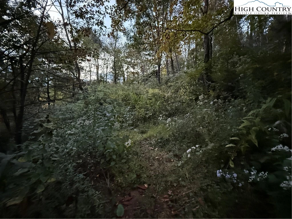 Image number 2 for the current listing