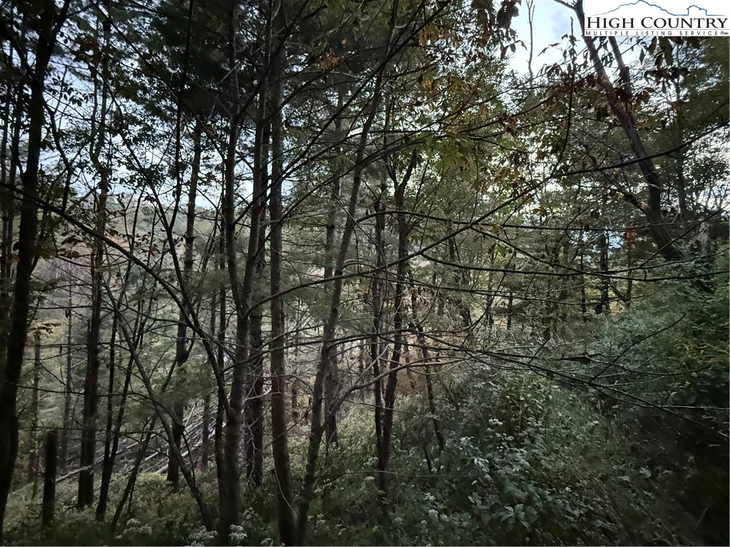 Image number 13 for the current listing