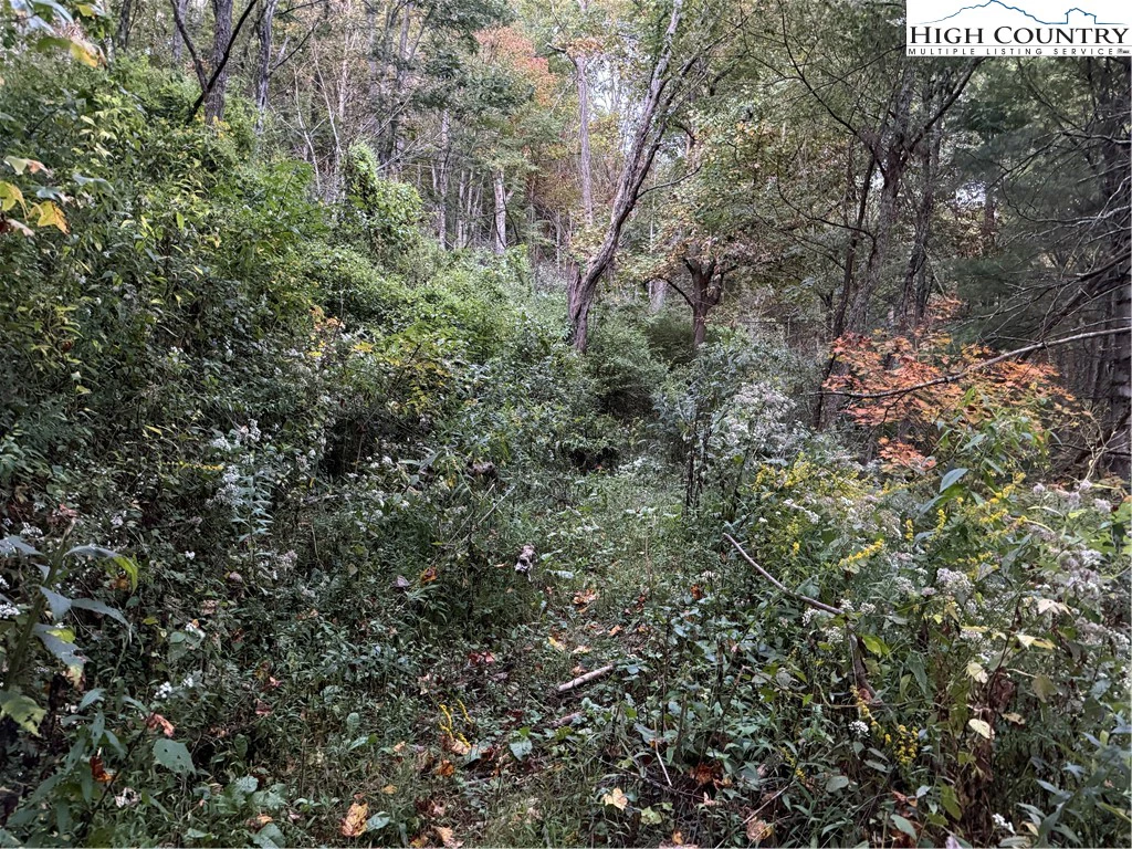 Image number 11 for the current listing