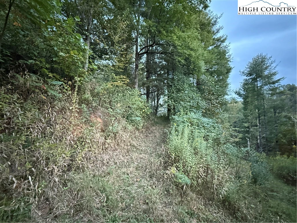 Image number 10 for the current listing