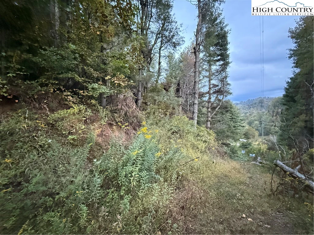 Image number 21 for the current listing