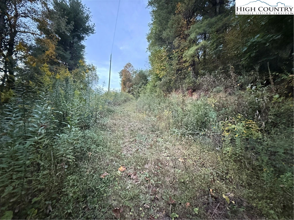 Image number 18 for the current listing