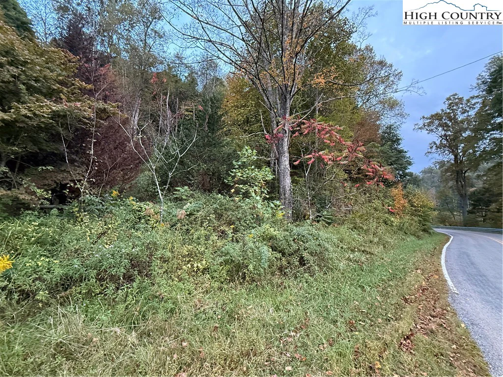 Image number 6 for the current listing