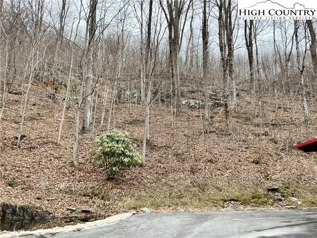 Image number 21 for the current listing