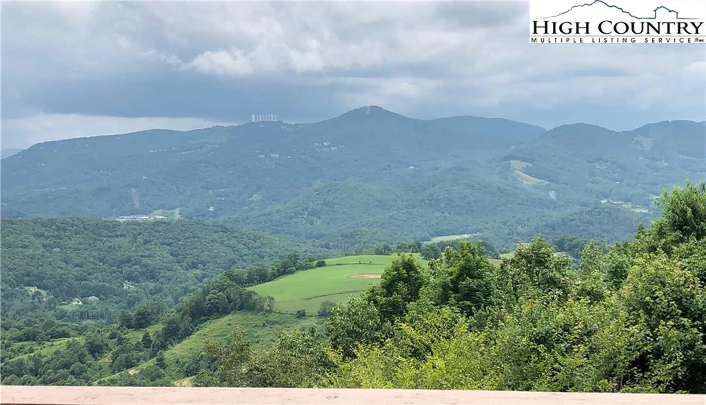 Image number 1 for the current listing