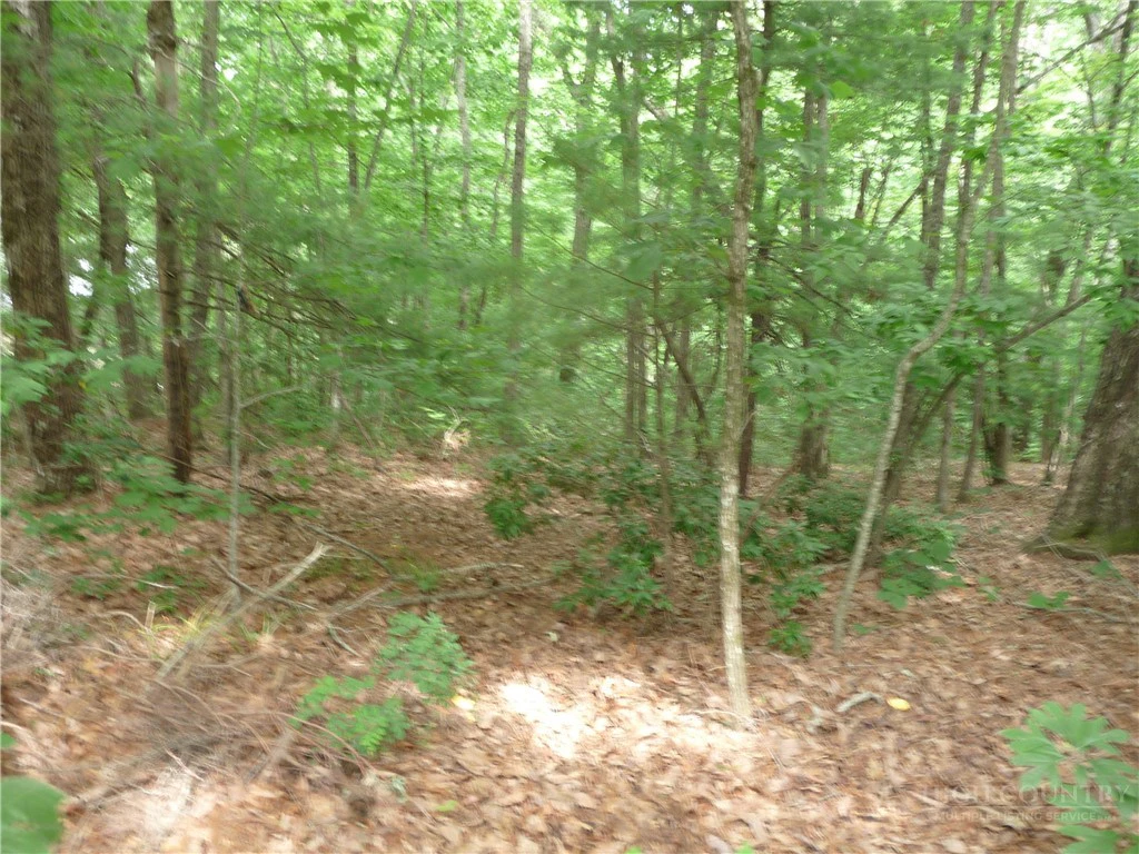 Image number 13 for the current listing