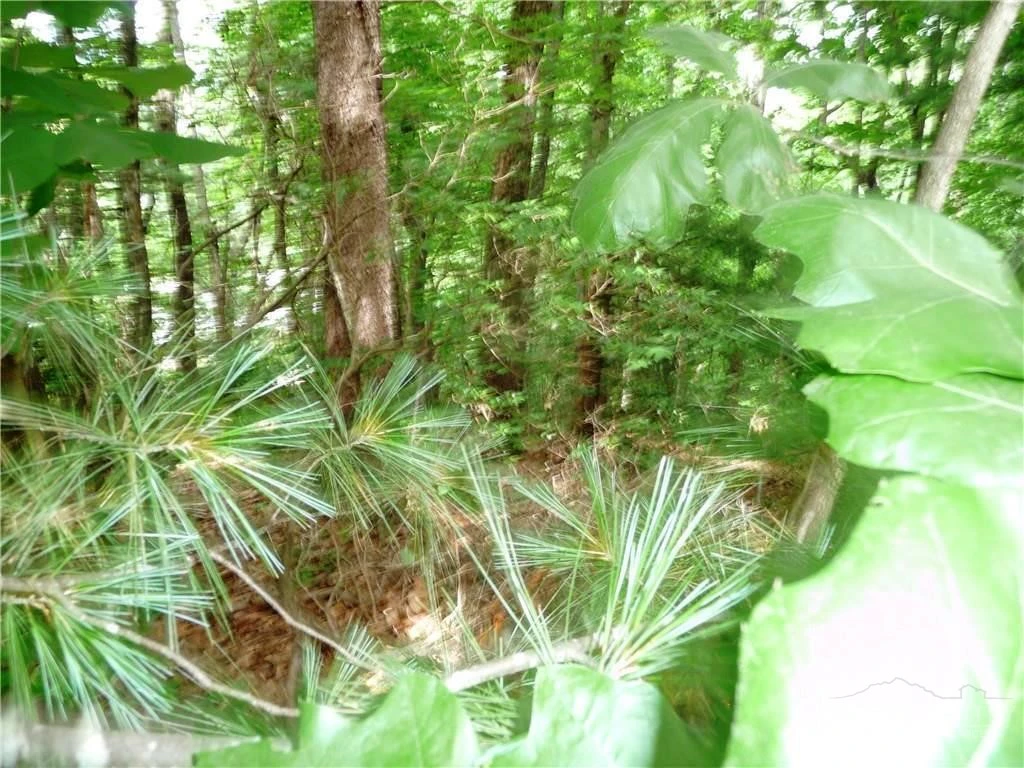 Image number 14 for the current listing