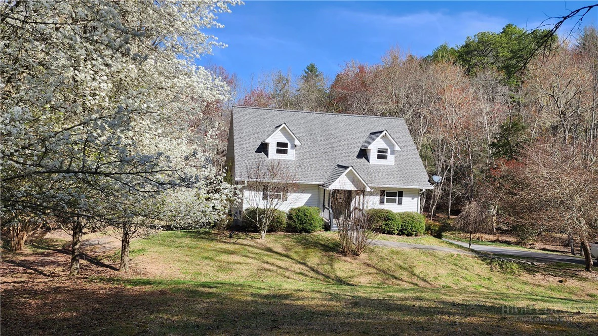 Image number 1 for the current listing