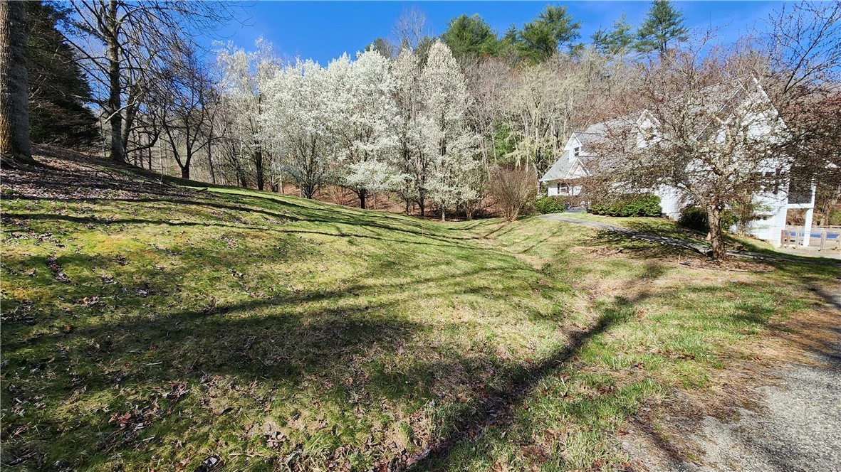 Image number 16 for the current listing