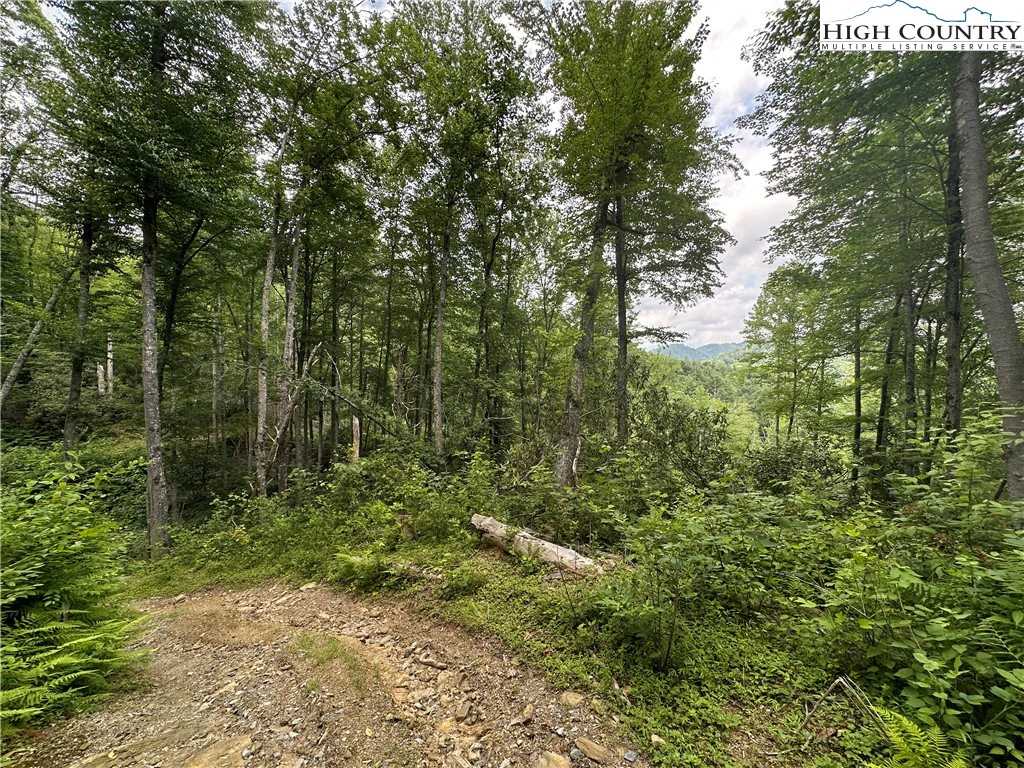 Image number 9 for the current listing