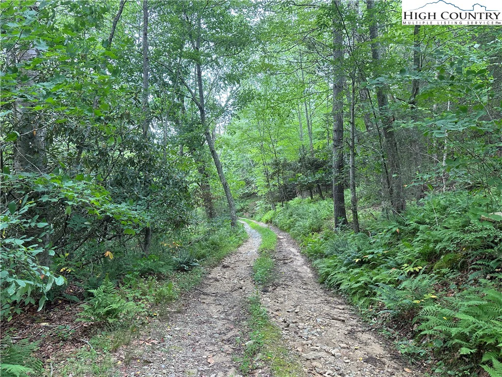Image number 12 for the current listing