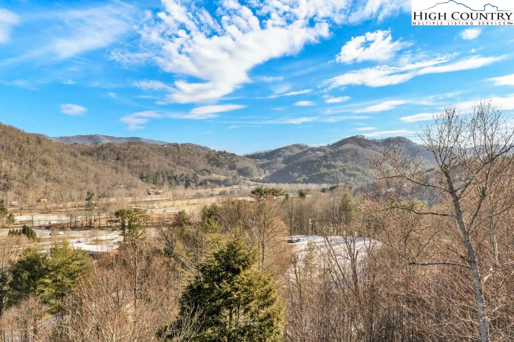 Image number 3 for the current listing