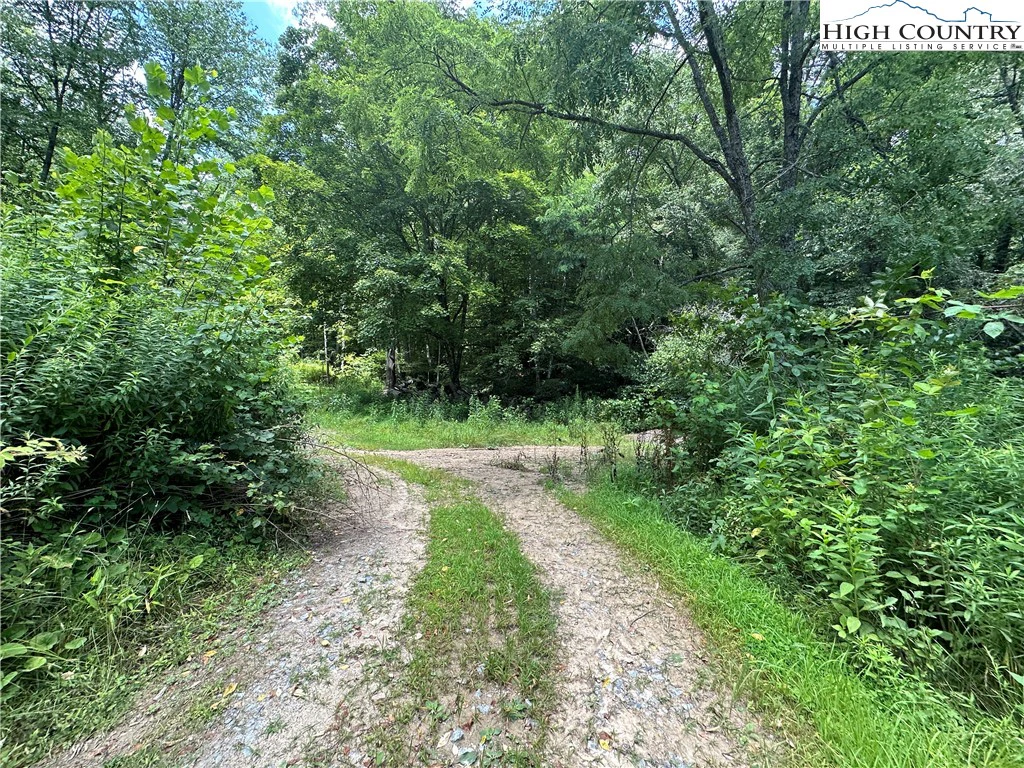 Image number 8 for the current listing