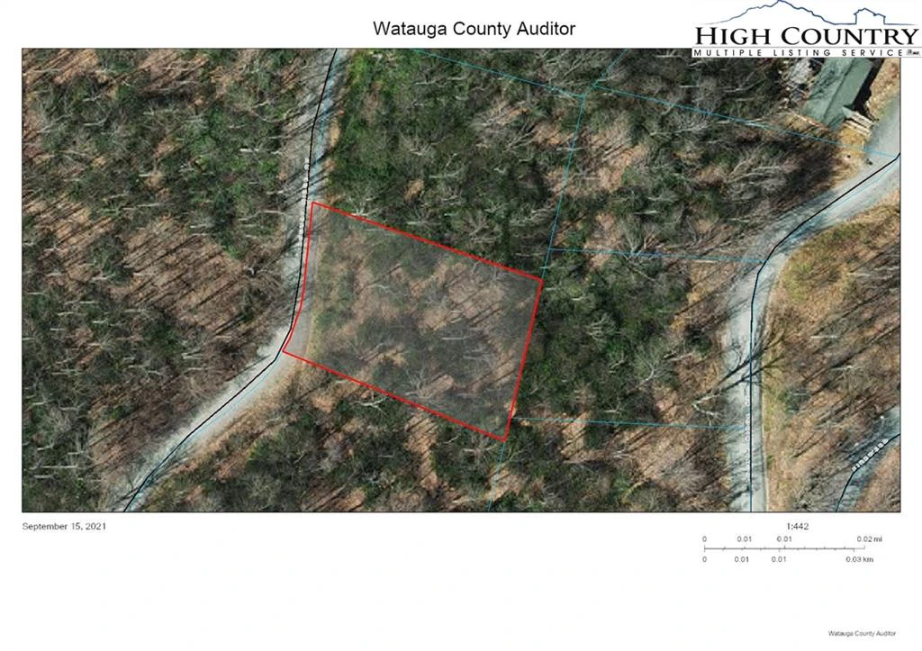 Image number 1 for the current listing