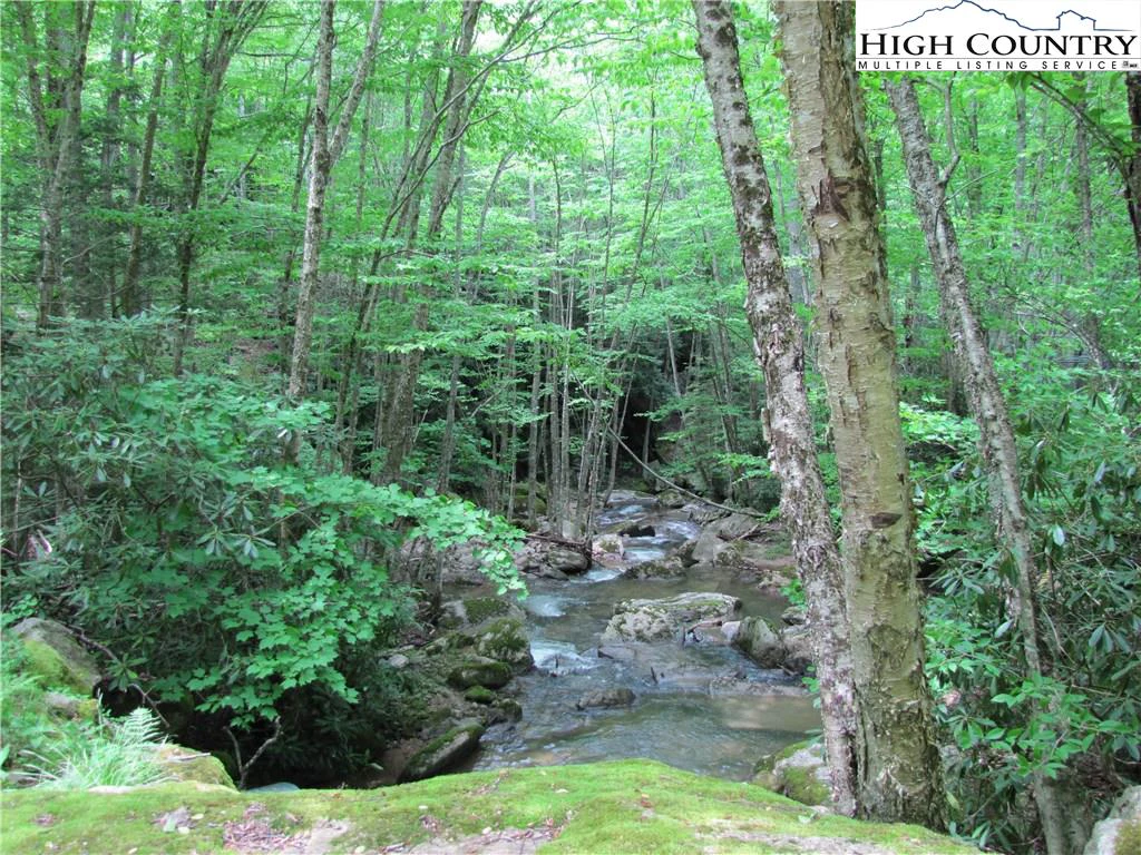Image number 3 for the current listing