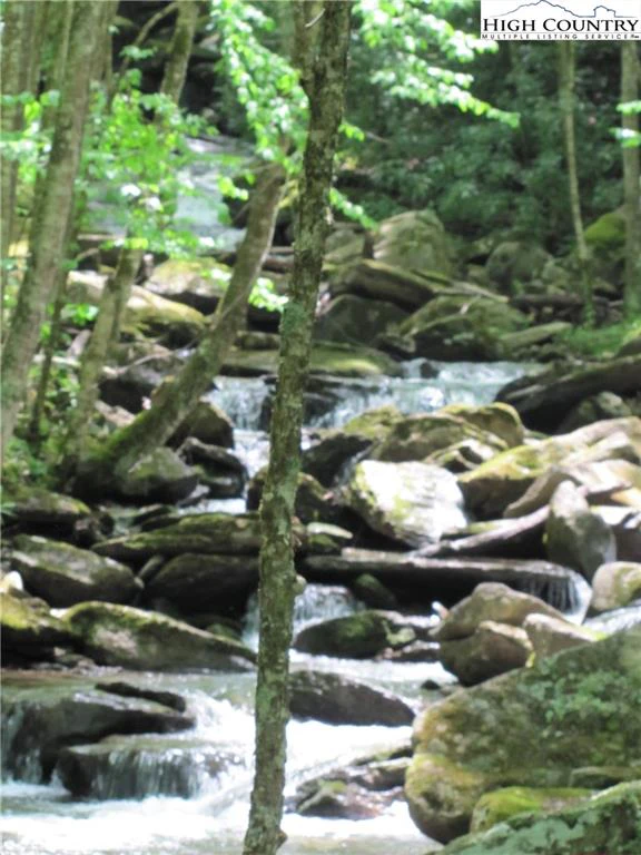 Image number 4 for the current listing