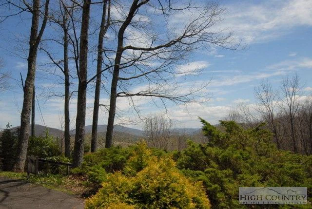 Image number 17 for the current listing