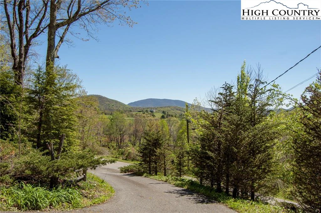 Image number 4 for the current listing