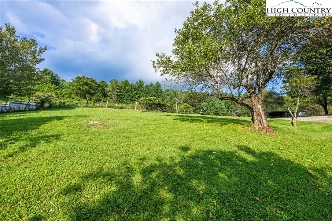 Image number 6 for the current listing