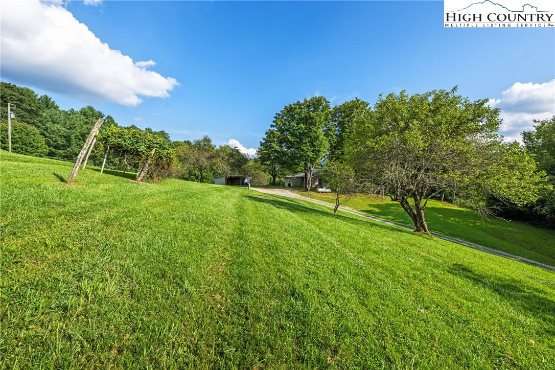 Image number 8 for the current listing