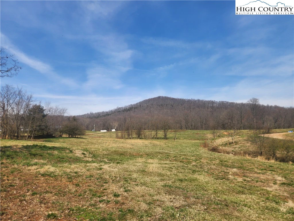 Image number 7 for the current listing