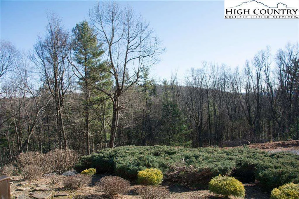 Image number 12 for the current listing