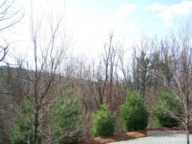 Image number 7 for the current listing